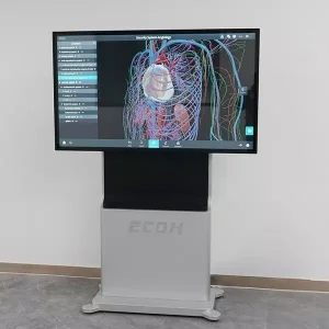 Anatomy Teaching Terminal 