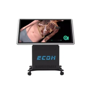 Virtual Anatomy Dissection Table