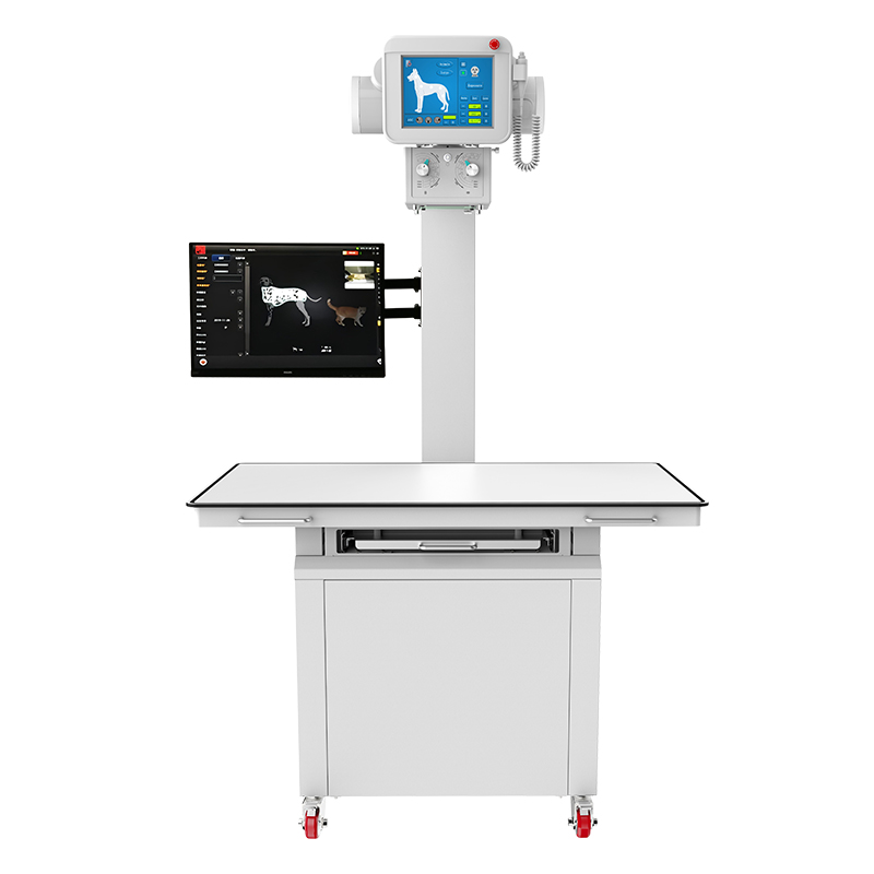 Vet_ X-Ray