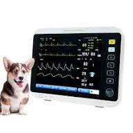 Patient Monitor