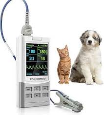 Patient Monitor